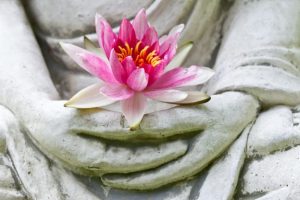 Satsang/Meditation and Reflection @ Zoom